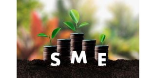 Financing SME