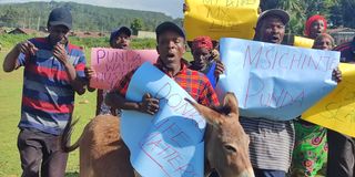 Baringo farmers opposed to reopening of Chinese owned slaughterhouse; say the animal faces extinction