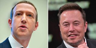 Elon Musk Mark Zuckerberg