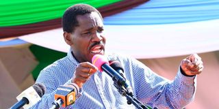 Former Agriculture Cabinet Secretary Peter Munya 