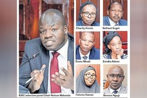 IEBC Selection Panel