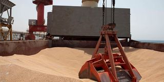 Ukrainian wheat destined for Ethiopia