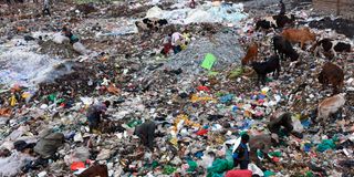 dandora dumpsite