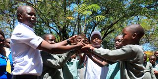 Tree-planting