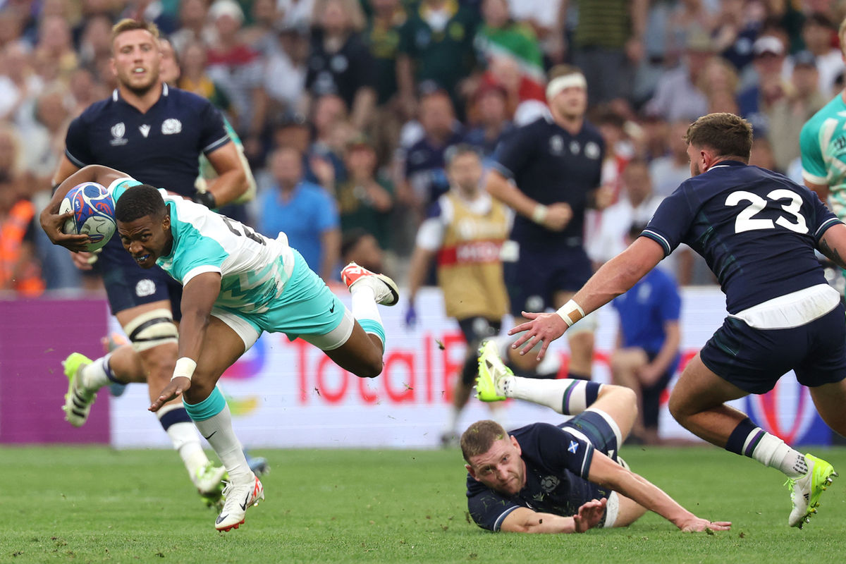 South Africa start Rugby World Cup defence with Scotland victory Nation