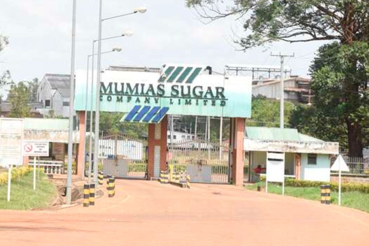 Lawyer in Mumias Sugar case fears for her life | Nation