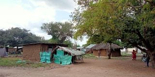 Magogoni village