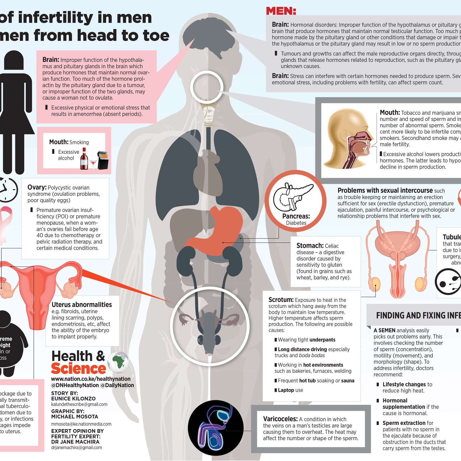 Genetic disorders that cause male infertility - Ziva Fertility