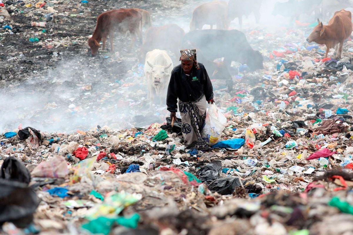 Nairobi gets slice of Sh4.5bn to improve air quality | Nation