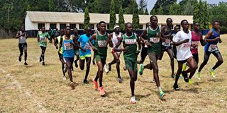 Athletes take part in senior men's 10km race