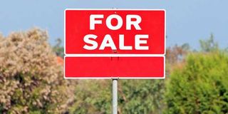 Plot for sale | Land grabbing