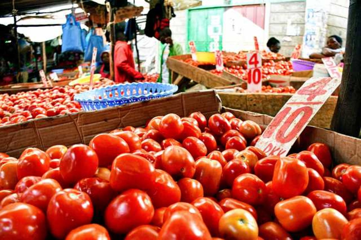 Boost agrifood capacity to unlock potential of Africa