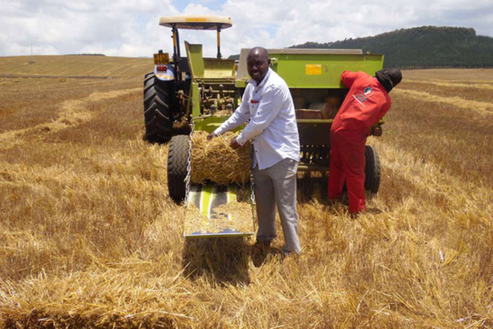 Baled Grass Hay for Sale - 8kg