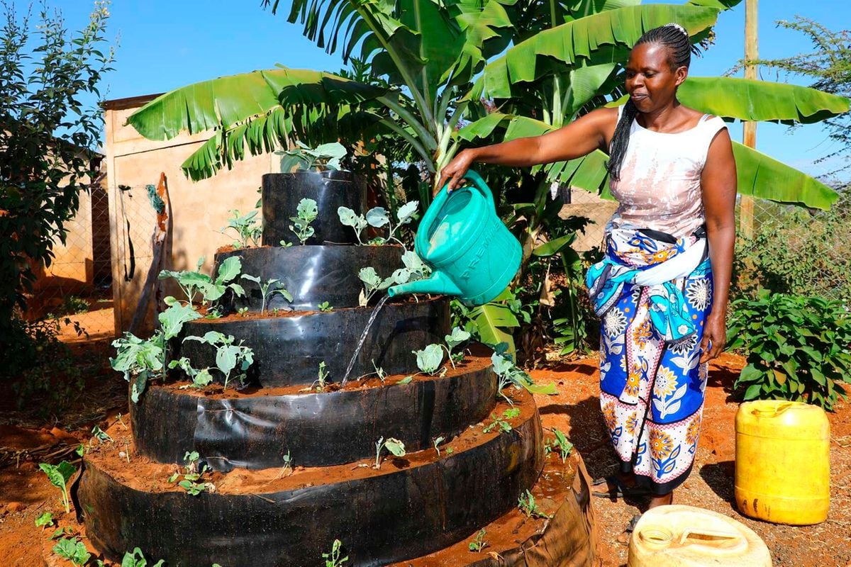 How climate smart farming has revolutionised womens lives in three counties