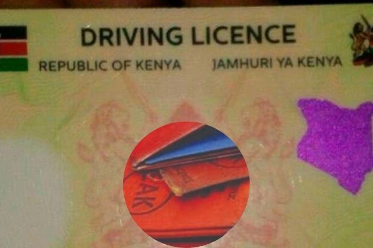 Government to phase out old driving licence in three years