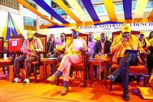 ODM National Governing Council 