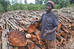 Harambee starts charcoal seller
