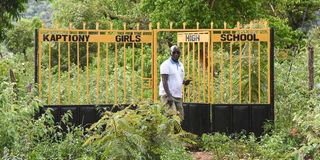 Signboards schools