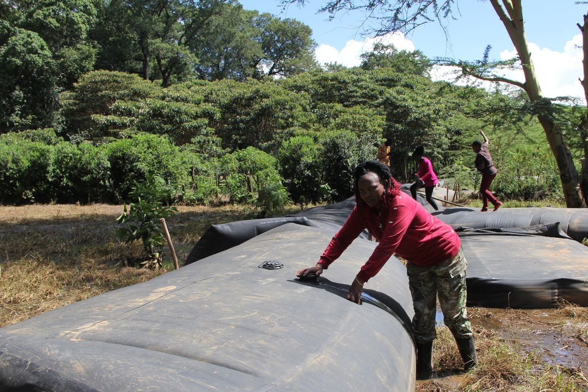Slamdams: the technology that saved Laikipia from flooding