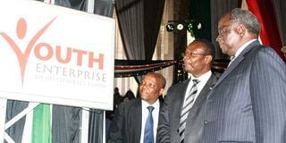 Kibaki Youth Enterprise Development Fund 