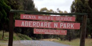 Aberdare National Park