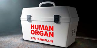 Human organs