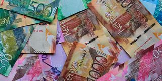 Kenyan currency notes