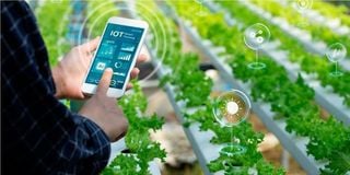 AI in agriculture