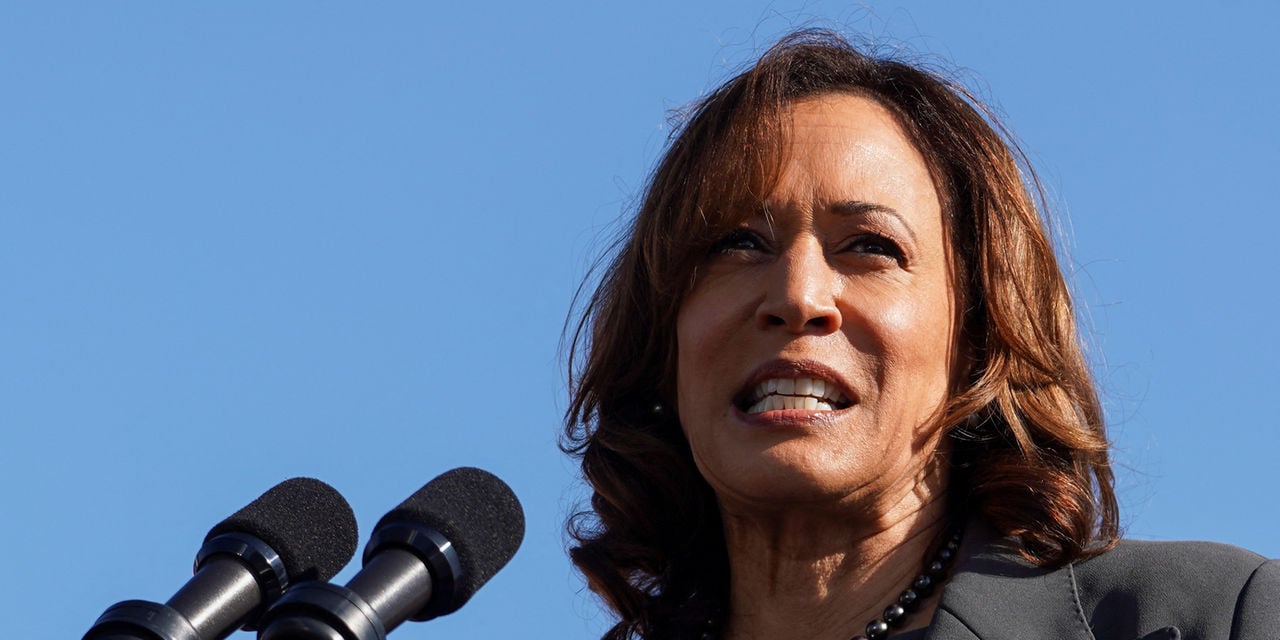 Kamala Harris’s campaign experience a grim reminder of weaponisation of