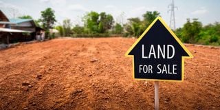 Land for Sale