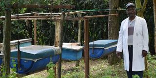 Beekeeping in Kajiado