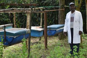 Beekeeping in Kajiado