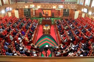 A sitting of the National Assembly. 