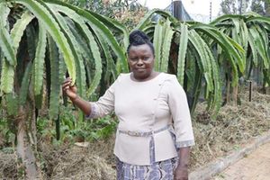 Dr Monicah Waiganjo