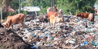 Homa Bay dumpsite 