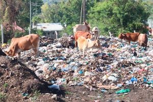 Homa Bay dumpsite 