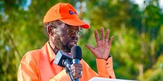 Peter Anyang' Nyong'o