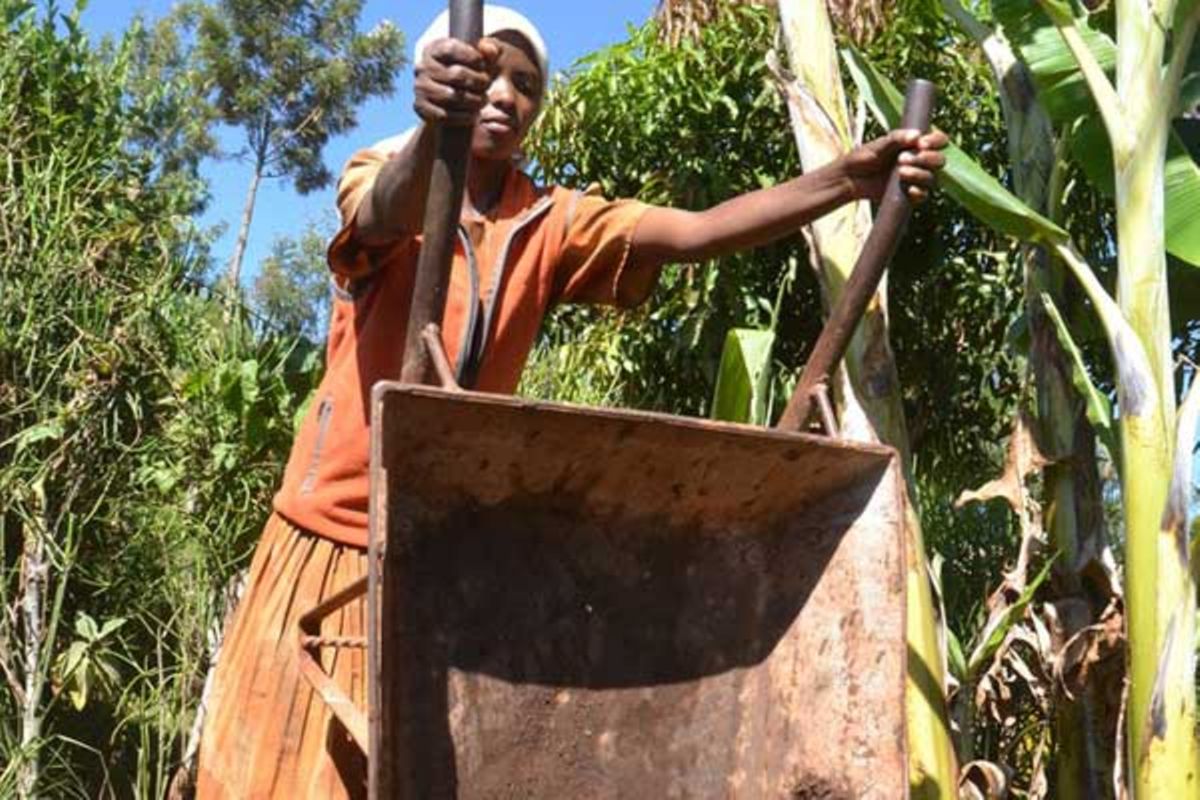 four-simple-steps-to-make-compost-manure-at-home-nation