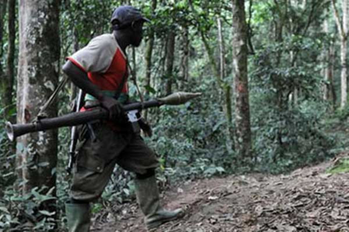 Armed Rwandan Rebels Surrender In East Dr Congo Nation 